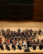 东盟多国交响乐团意向参加2020第九届中国东盟音乐周
